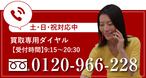 0120-966-228